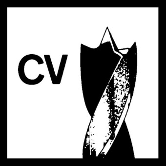 Спиральное сверло Bosch по древесине диаметр 8 мм цилиндрический хвостовик (8 x 75 x 117 mm, d 8 mm) 2608596305